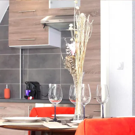 Apartament Duplex - Le Cosy - Hyper Centre Haguenau